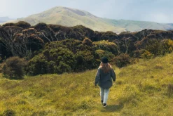 Classic 3-Pack Socks Black