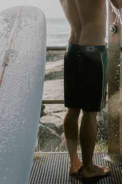 Core Pinline Trunk Olive