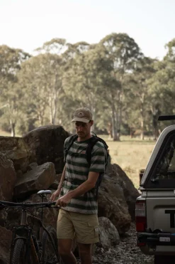 Echo Stripe Ss T-Shirt Natural